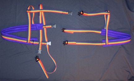 Rainbow w/ Purple Padding Harness